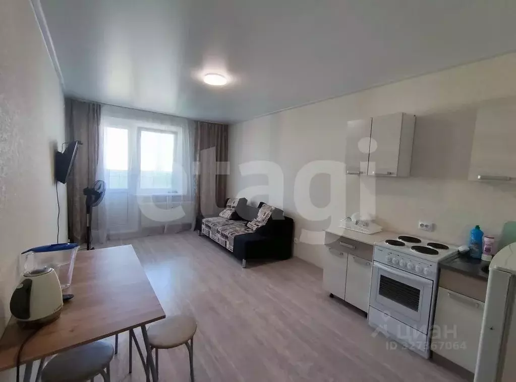 Студия Краснодарский край, Анапа ул. Ленина, 243 (27.6 м) - Фото 1