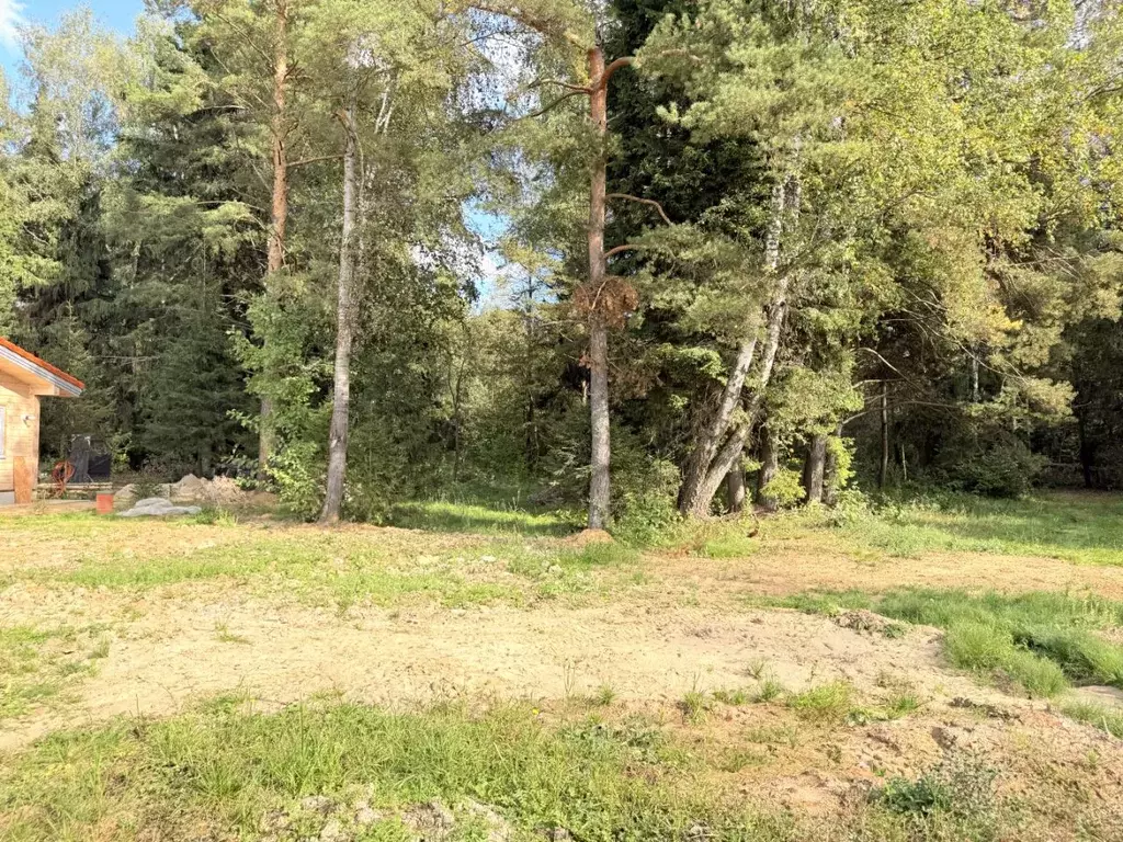 Участок в Московская область, Одинцовский городской округ, д. Фуньково ... - Фото 1