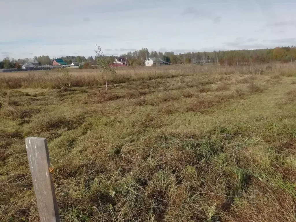 Участок в Ивановская область, Лежневское с/пос, д. Дюпово  (33.0 сот.) - Фото 2