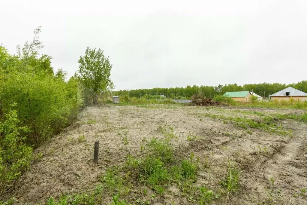 Участок в Тюменская область, Тюмень  (43000.0 сот.) - Фото 1