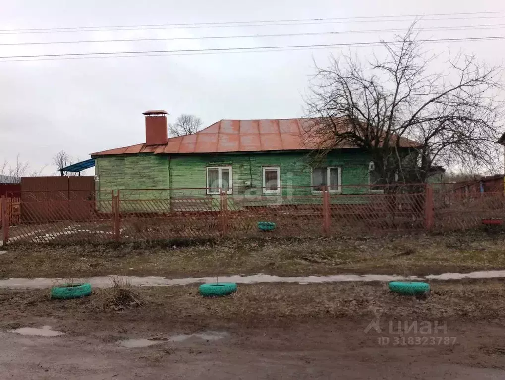 Дом в Тамбовская область, Рассказово Лесная ул., 222 (63 м) - Фото 0