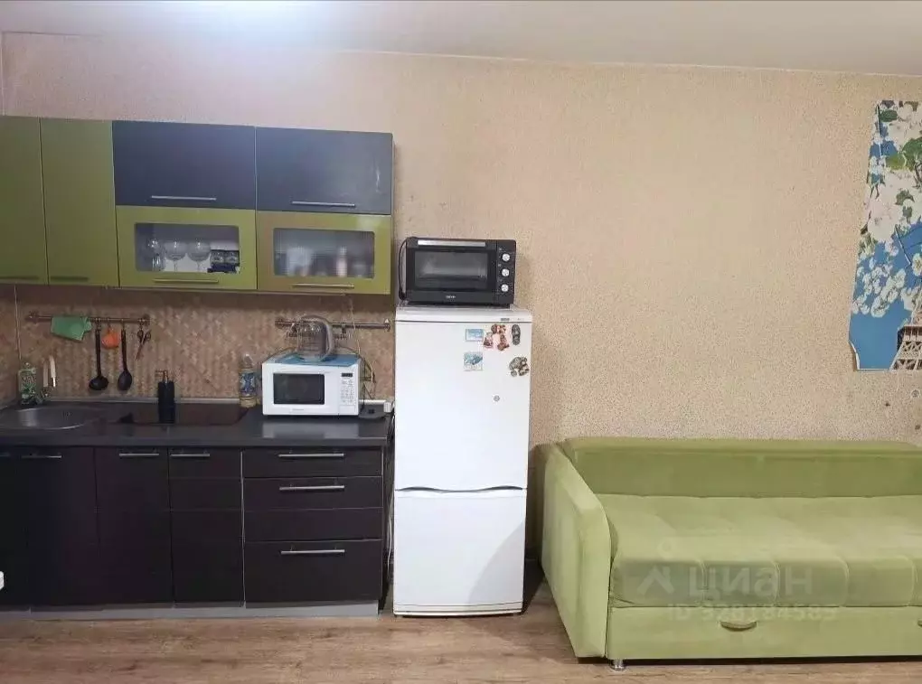 Студия Новосибирская область, Новосибирск ул. Татьяны Снежиной, 43 ... - Фото 1