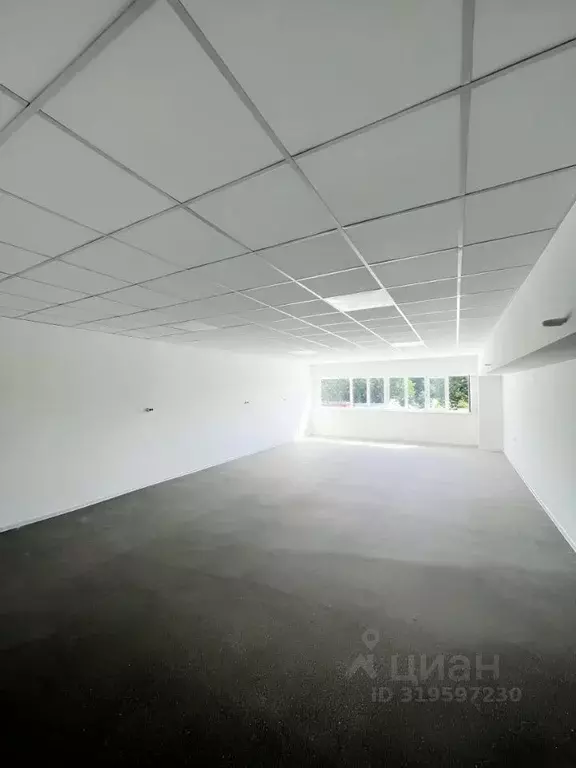 Помещение свободного назначения в Краснодарский край, Краснодар ... - Фото 0