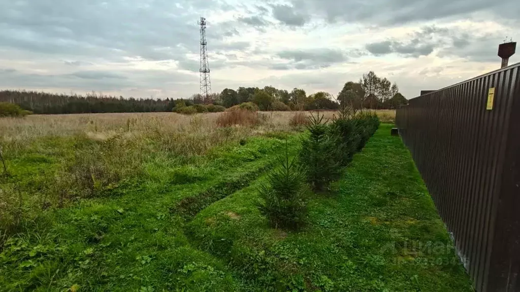 Участок в Московская область, Рузский муниципальный округ, д. Лидино  ... - Фото 2