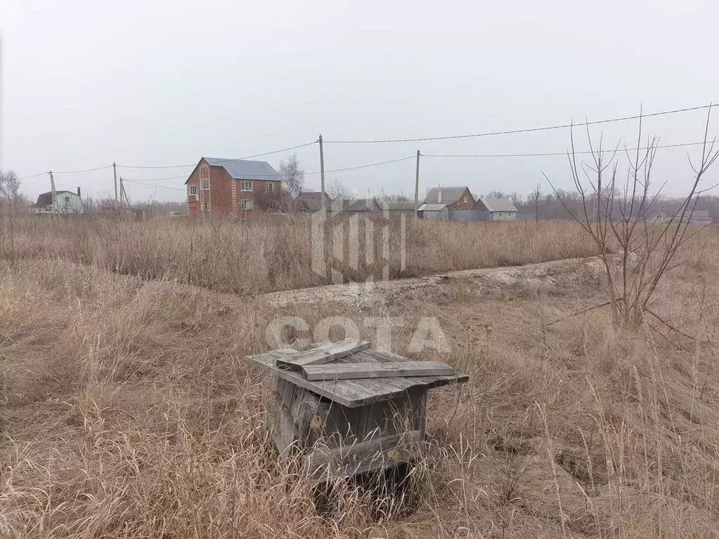 Участок в Воронежская область, Хохольское городское поселение, с. ... - Фото 1