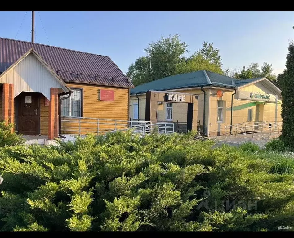 Торговая площадь в Орловская область, Урицкий район, Нарышкино пгт ул. ... - Фото 1