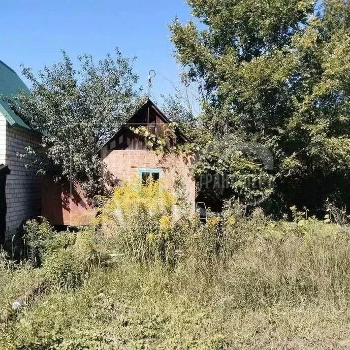Дом в Воронежская область, Воронеж Отдых СНТ, ул. 19-я, 740 (10 м) - Фото 1