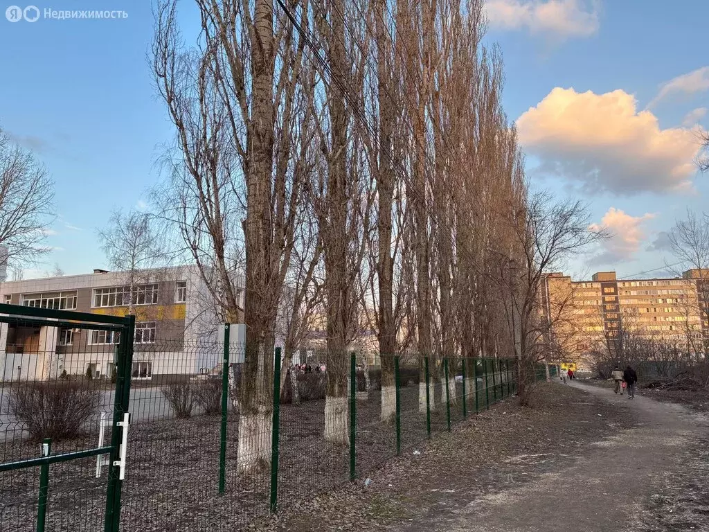 Квартира-студия: село Новая Усмань, Полевая улица, 36А (33 м) - Фото 1