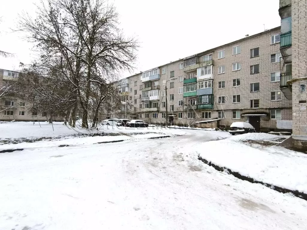 3-комнатная квартира: Пикалёво, 6-й микрорайон, 36 (58.3 м) - Фото 2