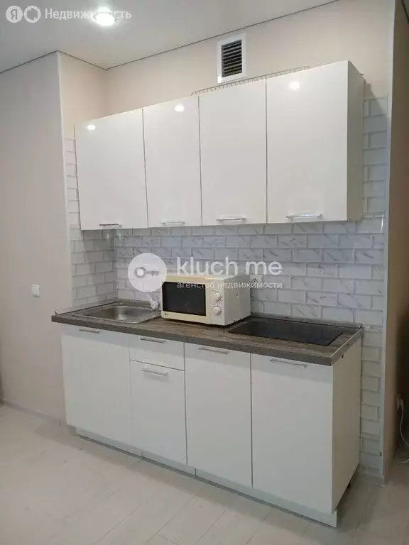 Квартира-студия: село Осиново, жилой комплекс Дом у Озера (27.2 м) - Фото 1