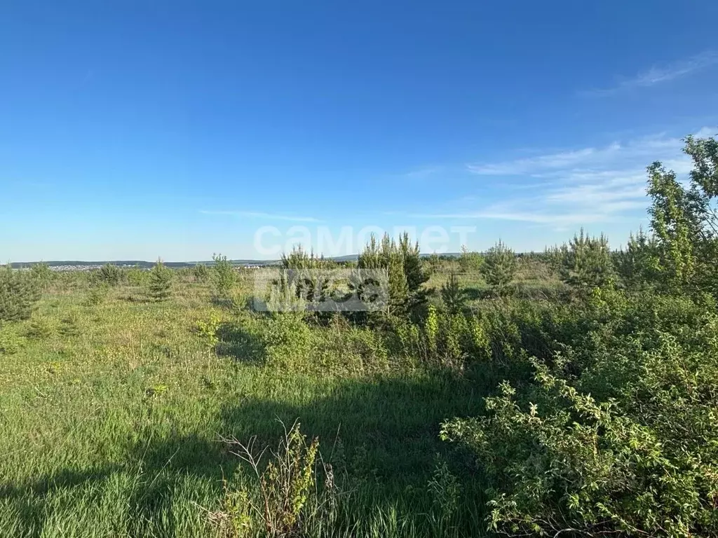 Участок в Пермский край, Пермский муниципальный округ, с. Култаево  ... - Фото 2