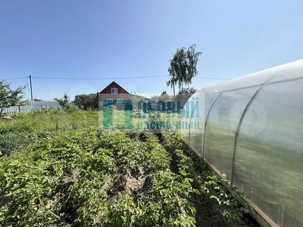 Участок 6 сот. (СНТ, ДНП) - Фото 1