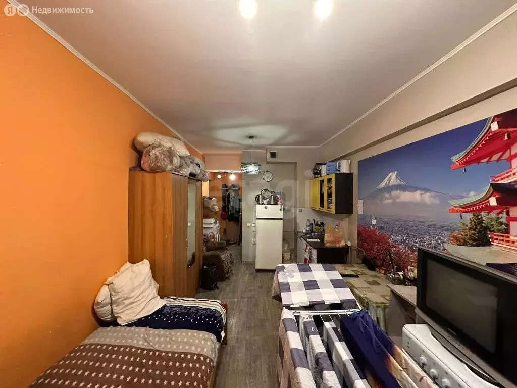 Квартира-студия: Улан-Удэ, улица Смолина, 79 (24.6 м) - Фото 1