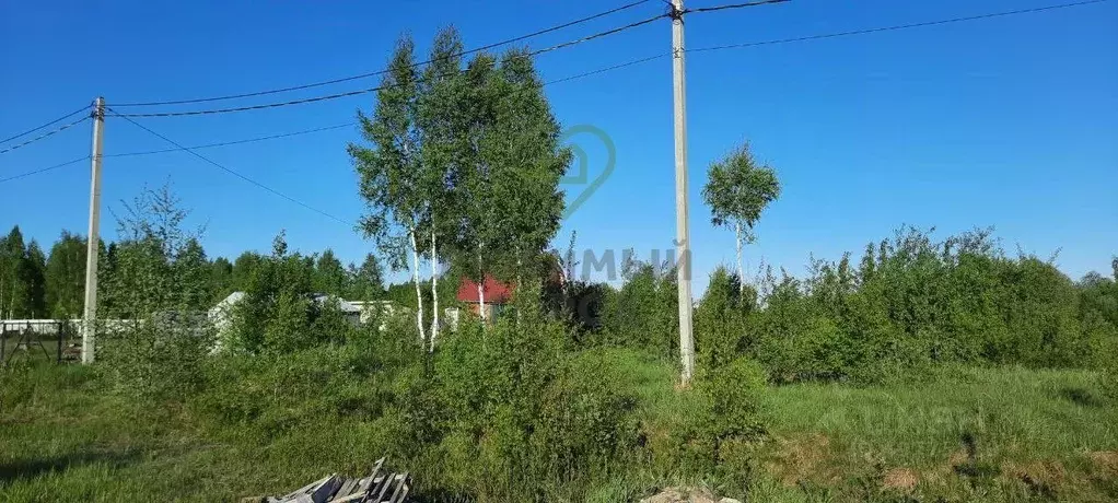 Участок в Тверская область, Конаково ул. Загородная (10.0 сот.) - Фото 1