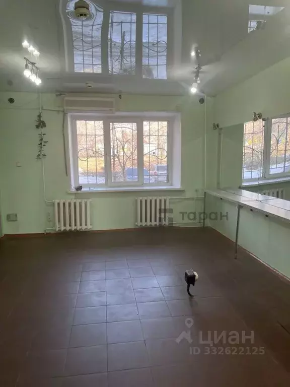Помещение свободного назначения в Челябинская область, Троицк ... - Фото 1