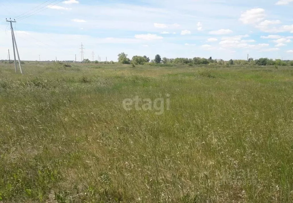 Участок в Челябинская область, Красноармейский район, Козыревское ... - Фото 1