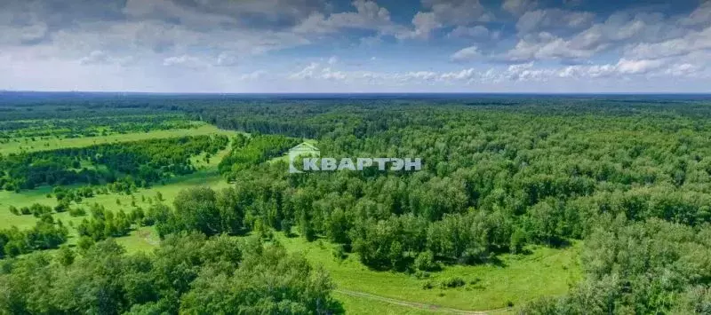 Участок в Новосибирская область, Новосибирский район, Кубовинский ... - Фото 1