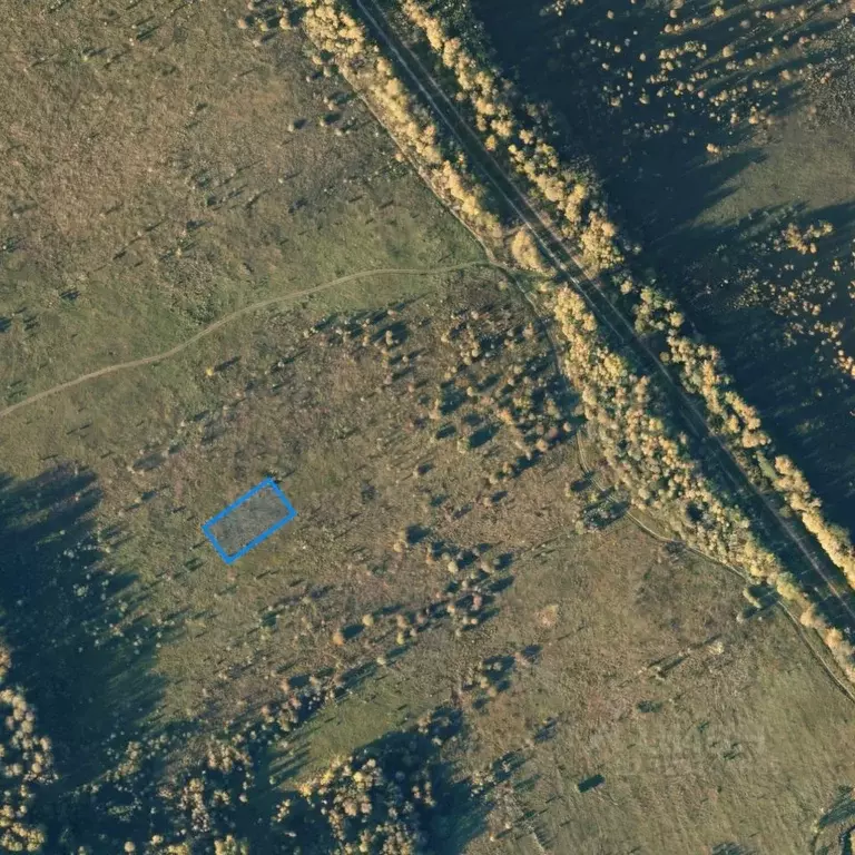 Участок в Владимирская область, Судогда Хорошевский мкр,  (15.0 сот.) - Фото 2