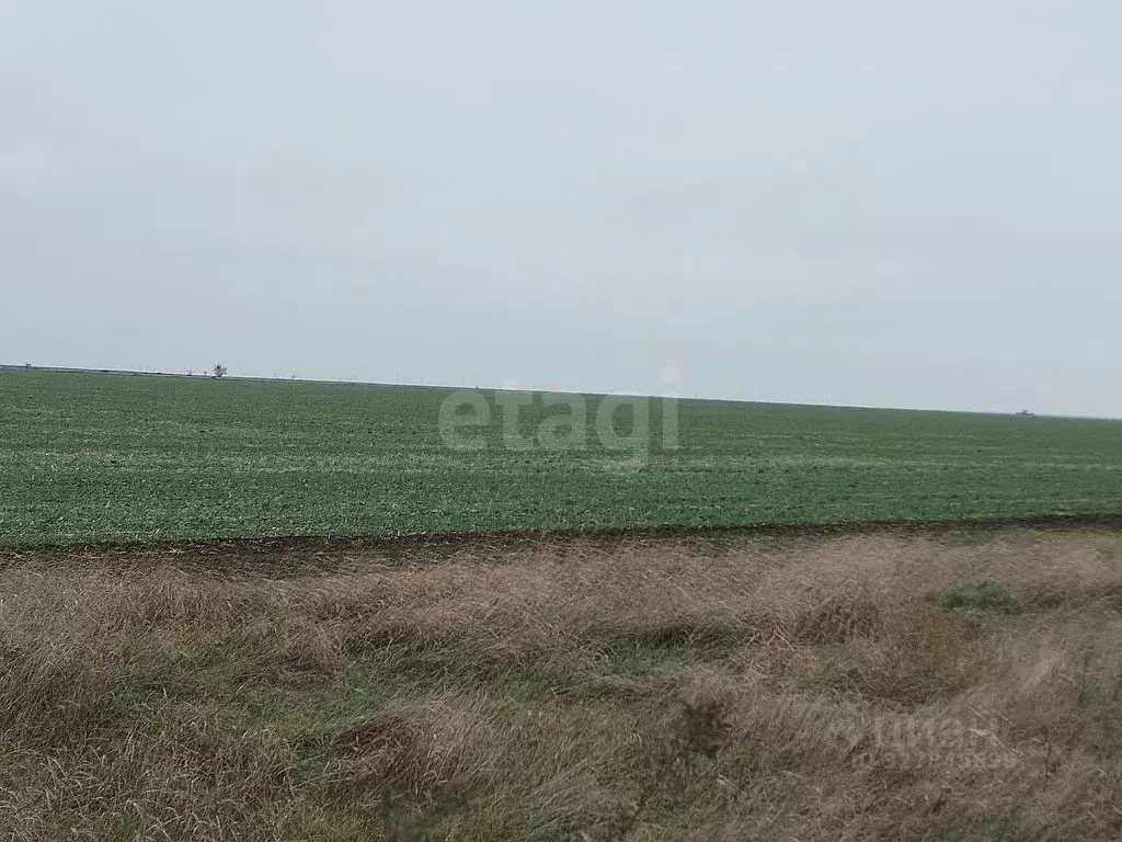 Участок в Крым, Ленинский район, Семисотское с/пос, с. Каменское ул. ... - Фото 1