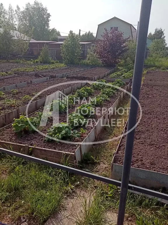 Участок в Добрянка, садовые участки Канал, Цветочная улица (7.81 м) - Фото 1