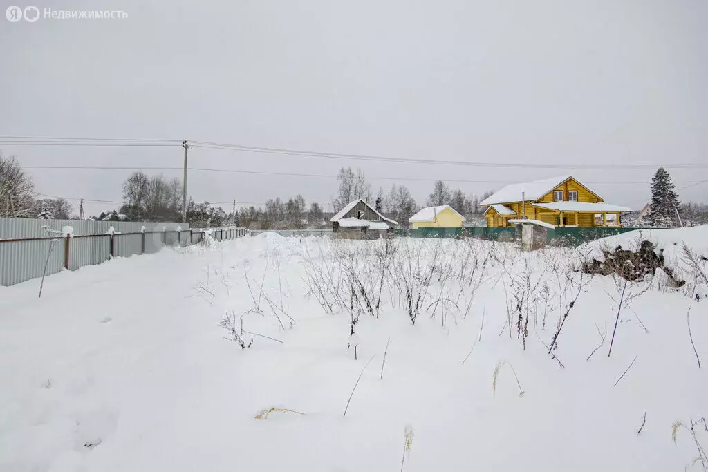 Участок в деревня Годуново, Новая улица, 42 (30 м) - Фото 1