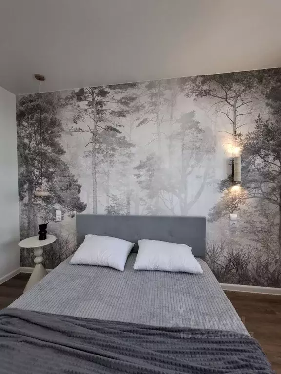 3-к кв. Новосибирская область, Новосибирск ул. Дуси Ковальчук, 238 ... - Фото 2