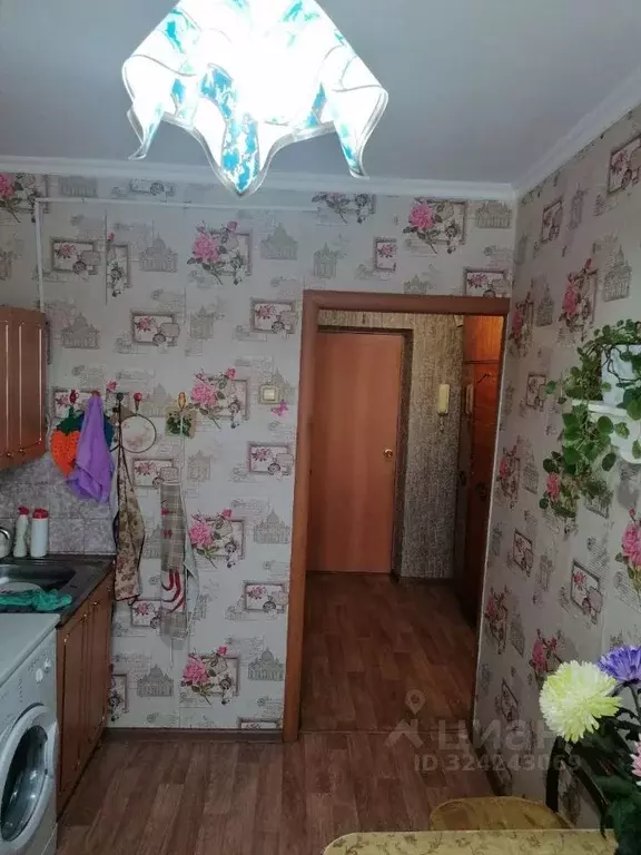 1-к кв. Бурятия, Улан-Удэ ул. Лебедева, 13А (29.8 м) - Фото 1