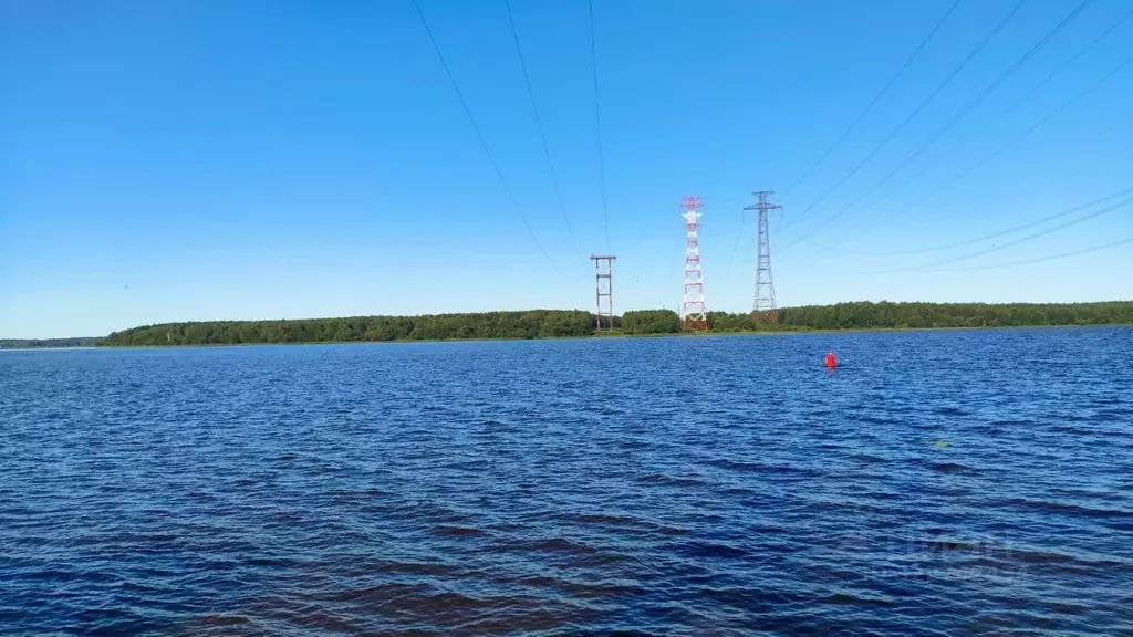 Участок в Тверская область, Конаково Волга-1 СНТ, 84 (20.7 сот.) - Фото 2