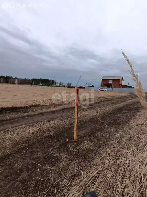 Участок в село Архангельское, микрорайон Зенит (10 м) - Фото 1