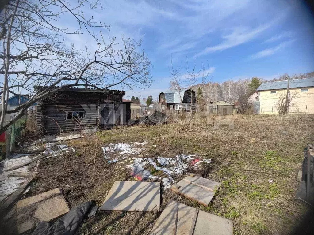 Участок в Новосибирская область, Новосибирск Водник СНТ,  (6.0 сот.) - Фото 1