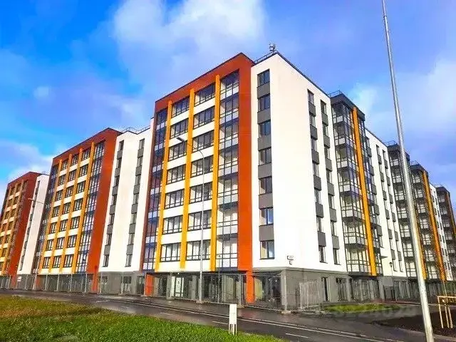 Студия Санкт-Петербург просп. Ветеранов, 179 (24.2 м) - Фото 1