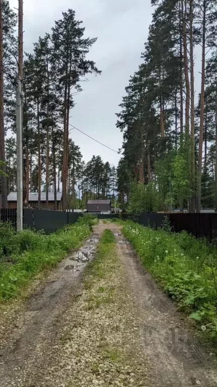 Участок в Ленинградская область, Гатчинский район, Вырица городской ... - Фото 1