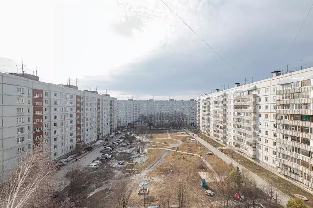 3-к кв. Новосибирская область, Новосибирск Нижняя Ельцовка мкр, ул. ... - Фото 0