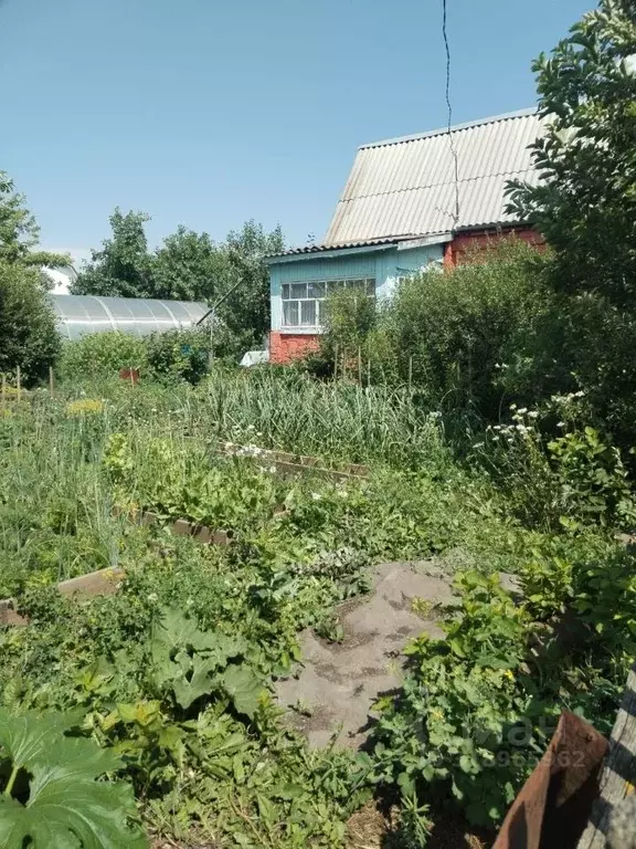 Дом в Омская область, Омск Бодрость-1 СНО, аллея 2-я (18 м) - Фото 0