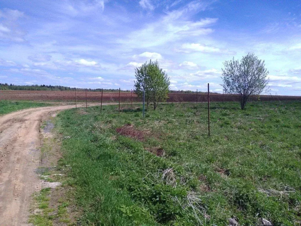 Участок в Белгородская область, Борисовка городское поселение, ... - Фото 1