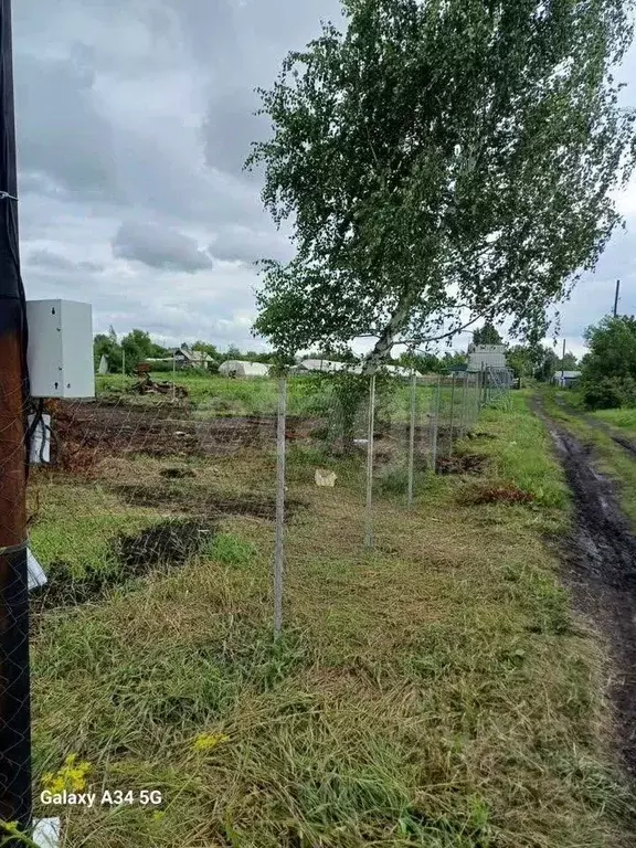 Участок в Алтайский край, Первомайский район, Феникс СНТ ул. 8-я, 72 ... - Фото 0