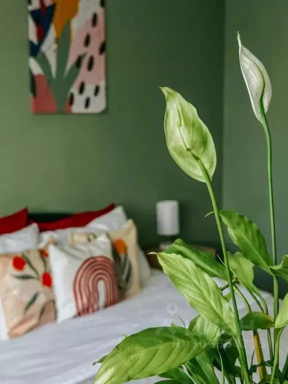 1-к кв. Красноярский край, Красноярск Линейная ул., 88 (42.0 м) - Фото 1