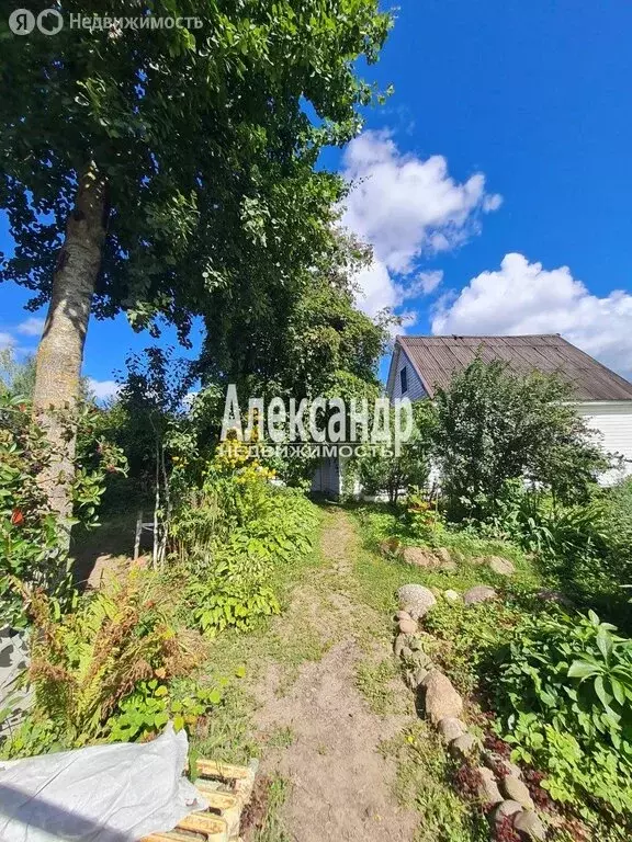 Дом в Кривко, Яблоневая улица, 14А (95.6 м) - Фото 2