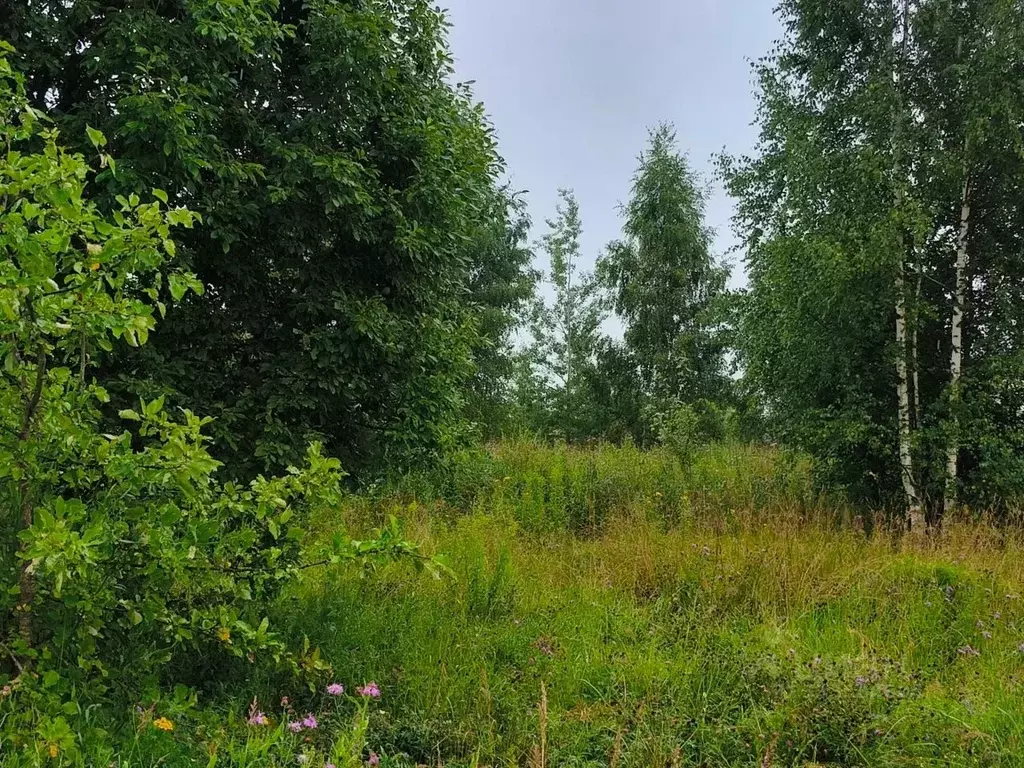 Участок в Московская область, Талдомский городской округ, д. Бардуково ... - Фото 1