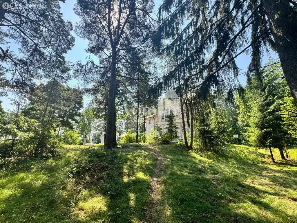 Участок в посёлок Смолячково, Приморское шоссе, 690 (10.3 м) - Фото 1