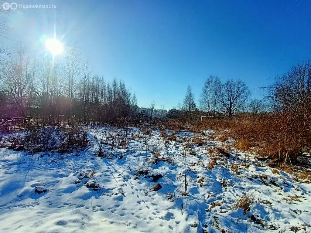 Участок в Судогодский район, муниципальное образование Вяткинское, ... - Фото 0