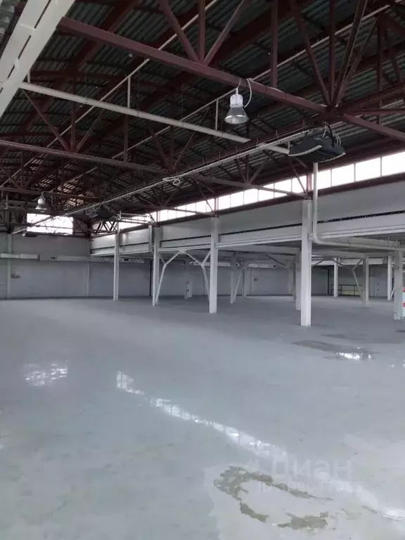 Производственное помещение в Рязанская область, Шилово рп  (6850 м) - Фото 1