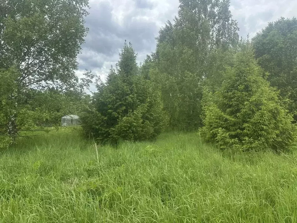 Участок в Московская область, Рузский муниципальный округ, д. ... - Фото 1