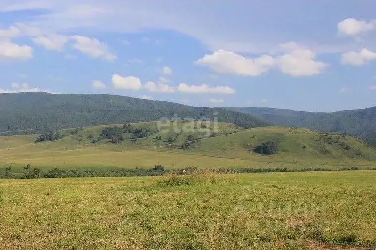 Участок в Алтайский край, Смоленский район, с. Смоленское  (4300.0 ... - Фото 0