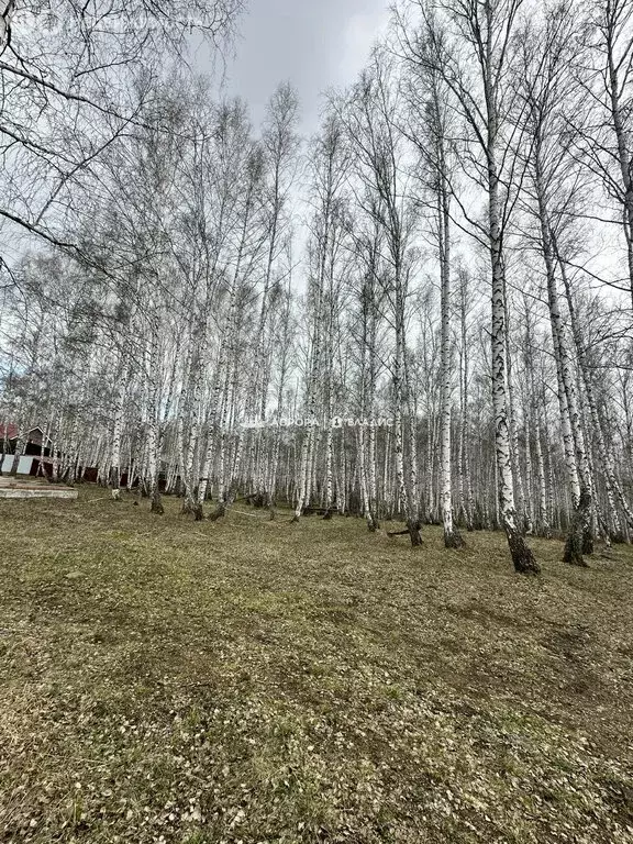 Участок в Абзелиловский район, Ташбулатовский сельсовет, деревня ... - Фото 1