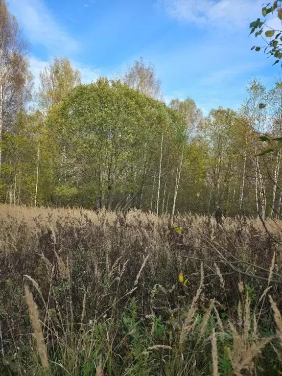 Участок в Московская область, Клин городской округ, д. Городище 69 ... - Фото 2