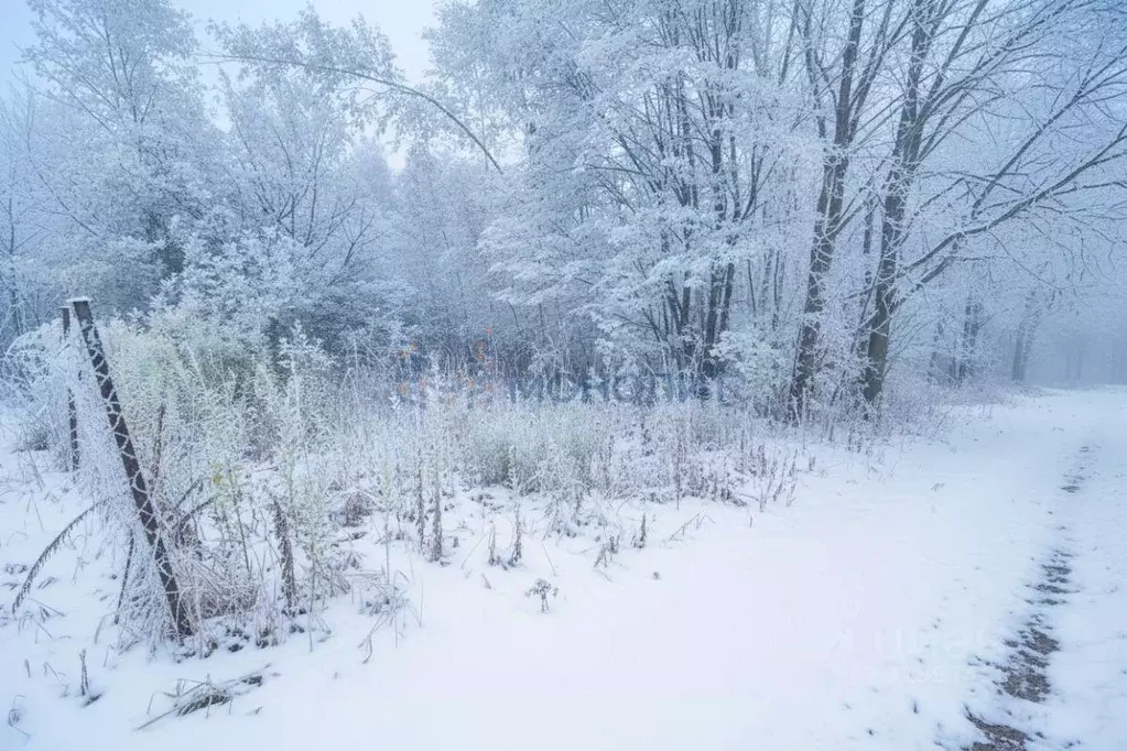 Участок в Нижегородская область, Богородский муниципальный округ, ... - Фото 1