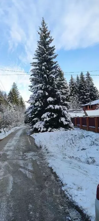 Участок в Московская область, Дмитровский муниципальный округ, д. ... - Фото 1