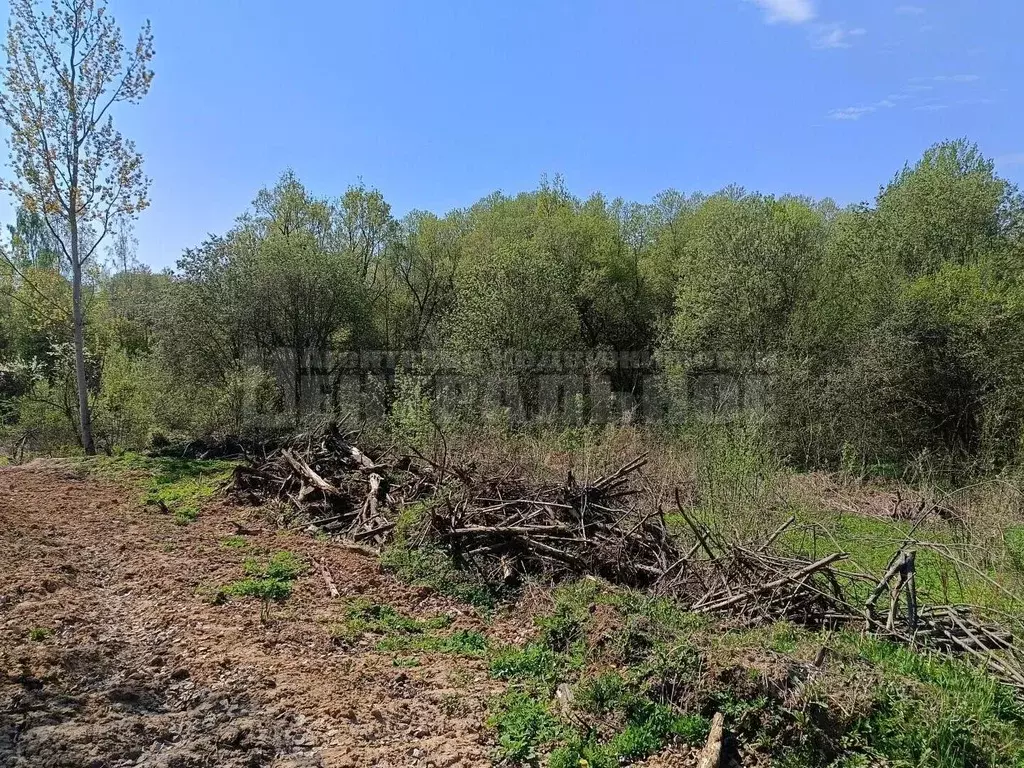 Участок в Смоленская область, Смоленск Дружба СНТ, 331 (7.26 сот.) - Фото 2