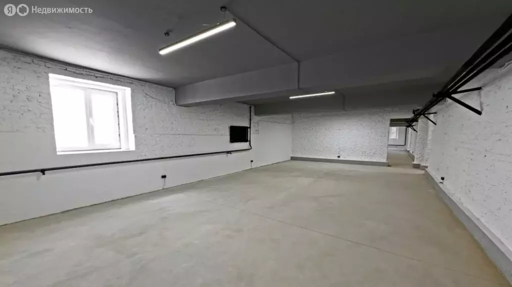 Помещение свободного назначения (244 м) - Фото 1